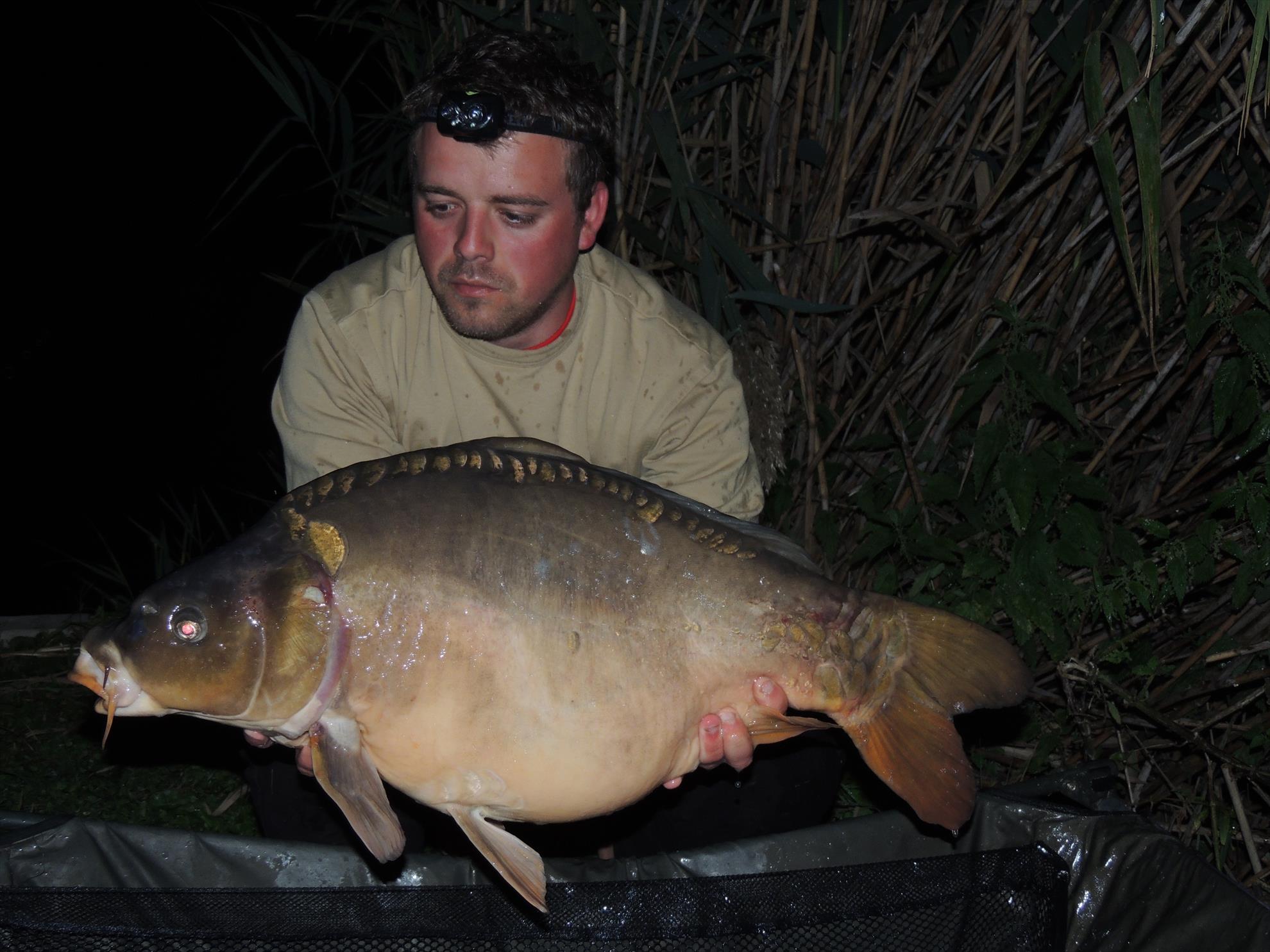 Tancabesti 12 - 14 sep. - 11 kg